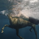 Image for article titled A Deep Dive Into This Burberry Commercial With a Horse and Adam Driver